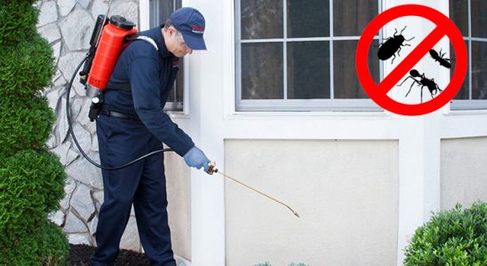 Hatundere Böcek ve Haşere İlaçlama böcek ilaçlama ve haşere kontrolü — ilaclama-tr.com